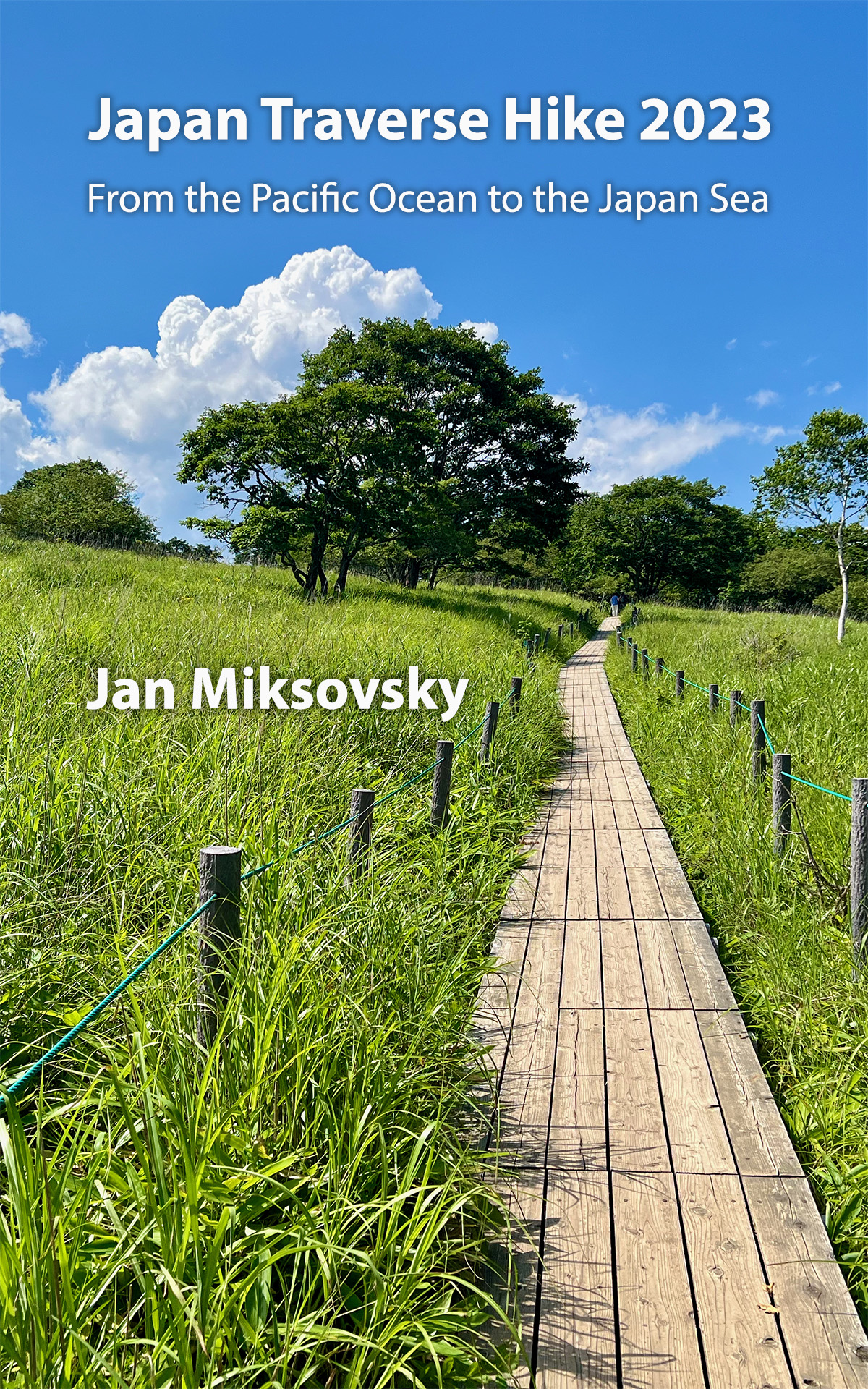 Book cover showing a grassy meadow with an elevated wooden pathway